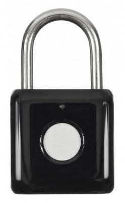 Умный замок Digma SmartLock P1 навесной разбл.отпеч.паль. 100mAh черный SRP1