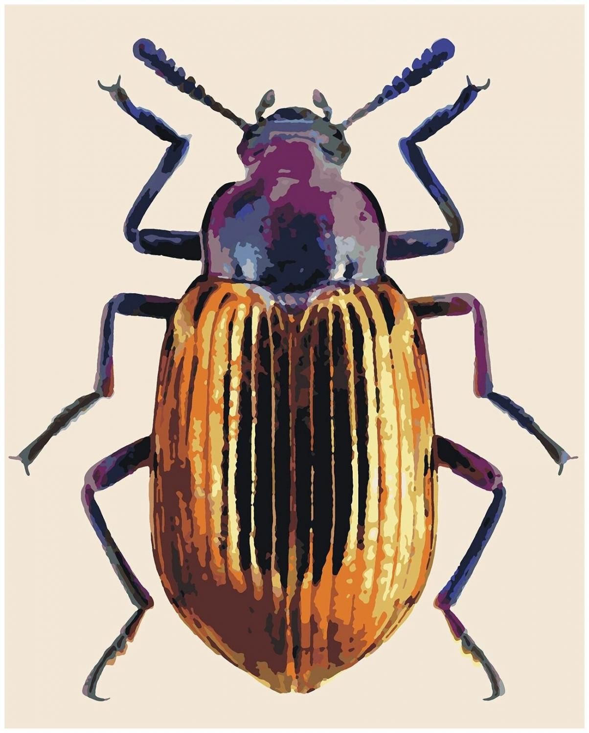Картина по номерам Золотой жук, 60 х 70 см купить в Москве, СПб,  Новосибирске по низкой цене