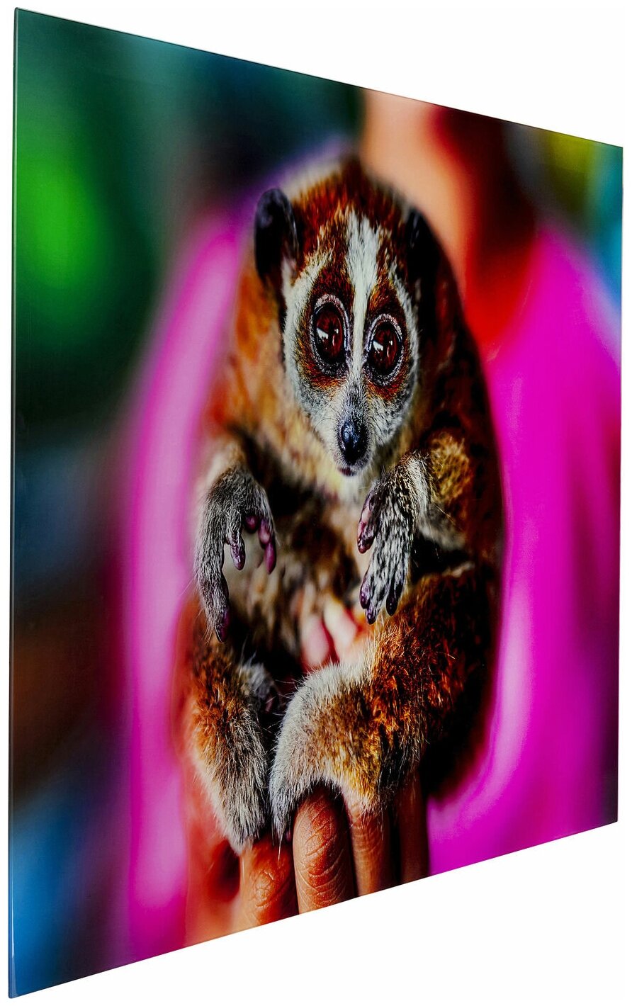 KARE Картина Lemur, коллекция 