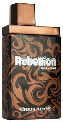 Туалетная вода Chris Adams Rebellion, 100 мл