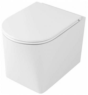 Чаша унитаза подвесная OWL 1975 Curve Cirkel-H OWLT190802 с горизонтальным выпуском