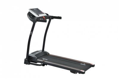 Беговая дорожка Royal Fitness RF-7