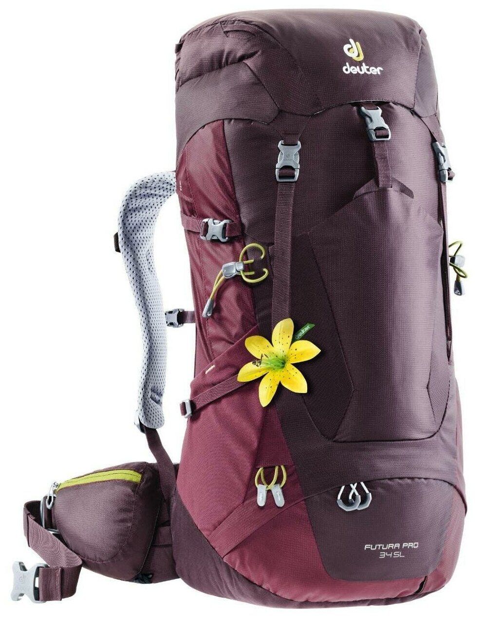 Deuter futura pro 34 hotsell