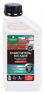 Prosept Salt Cleaner, удалитель высолов, (концентрат 1:2), 5 л
