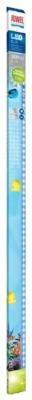 Лампа 31 Вт Juwel LED Blue (86892)