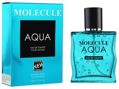 Туалетная вода Парфюмерия XXI века Molecule Aqua pour homme, 100 мл