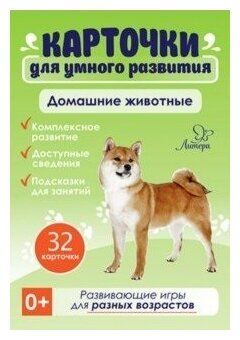 Бойченко Т.И. "Домашние животные. 32 карточки"