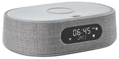 Умная колонка Harman/Kardon Citation Oasis, gray