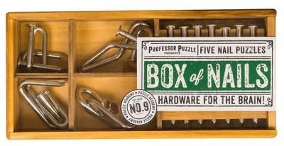 Набор головоломок Professor Puzzle Puzzle Academy Box of Nails (PA1445) 5 шт. стальной