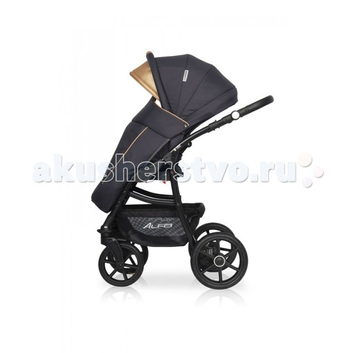 Коляска Riko Basic Alfa Ecco 2 в 1 Коляска Riko Basic Alfa Ecco 2 в 1