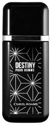 Парфюмерная вода Chris Adams Destiny, 100 мл