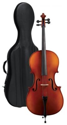 Виолончель Gewa Cello outfit Europe 1/2