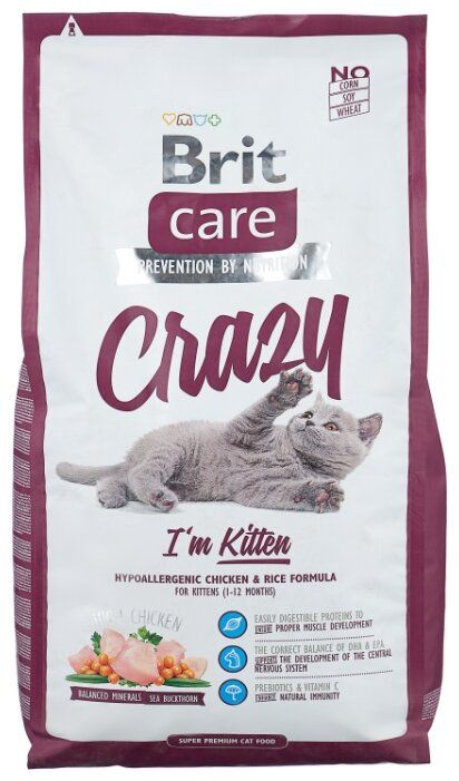 Brit care best sale crazy kitten