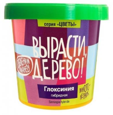 Набор для выращивания Вырасти, Дерево! Глоксиния гибридная