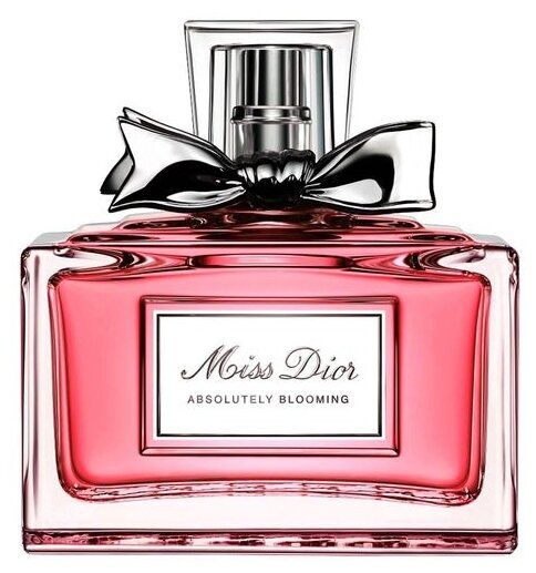 Dior absolutely blooming review best sale