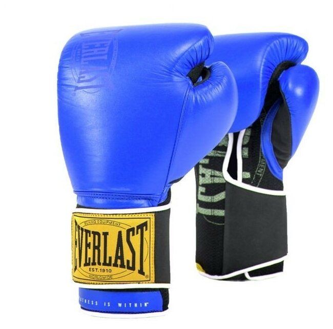 everlast sporting goods