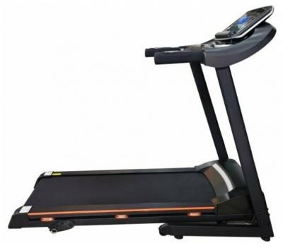 Беговая дорожка электрическая Royal Fitness RF-6