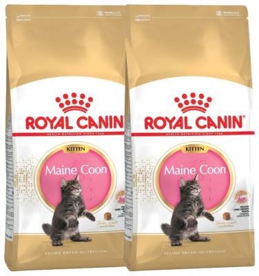Сухой корм для котят Royal Canin Мейн-кун, профилактика зубного камня 2шт. х 2 кг