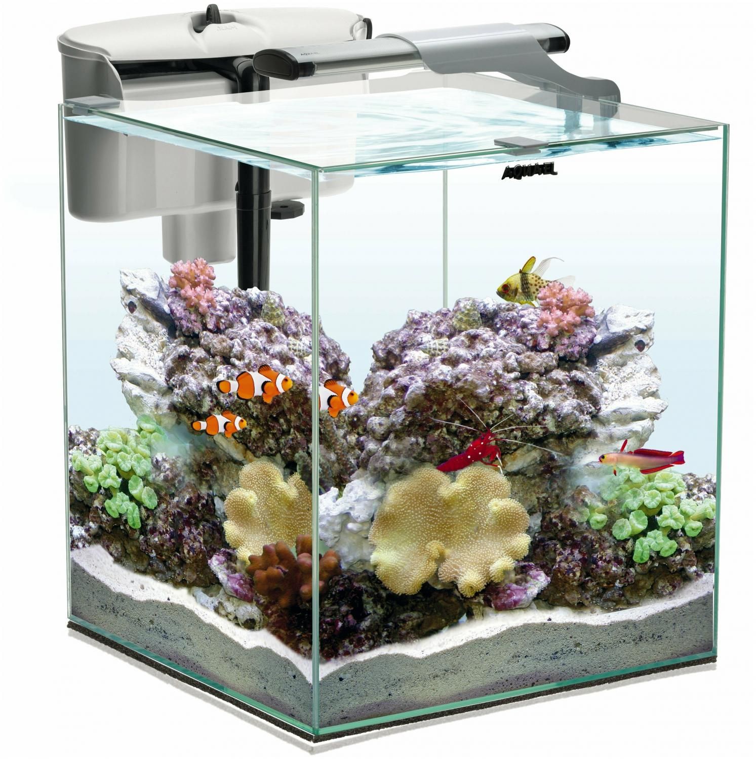 Аквариум AQUAEL NANO REEF DUO белый (49 л) купить в Москве, СПб,  Новосибирске по низкой цене