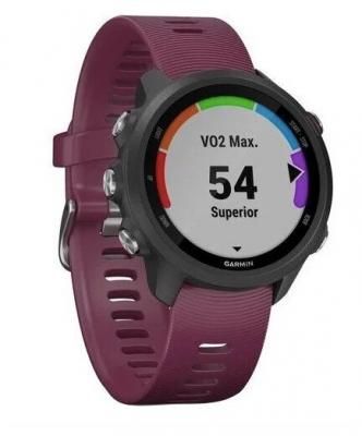 Часы Garmin Forerunner 245 Music черный с вишневым ремешком