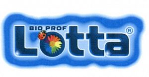 Lotta