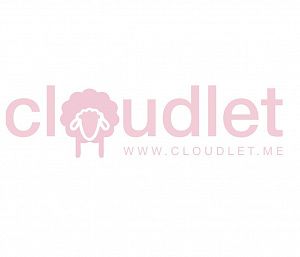 Cloudlet