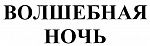 Волшебная ночь