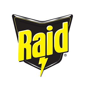 Raid